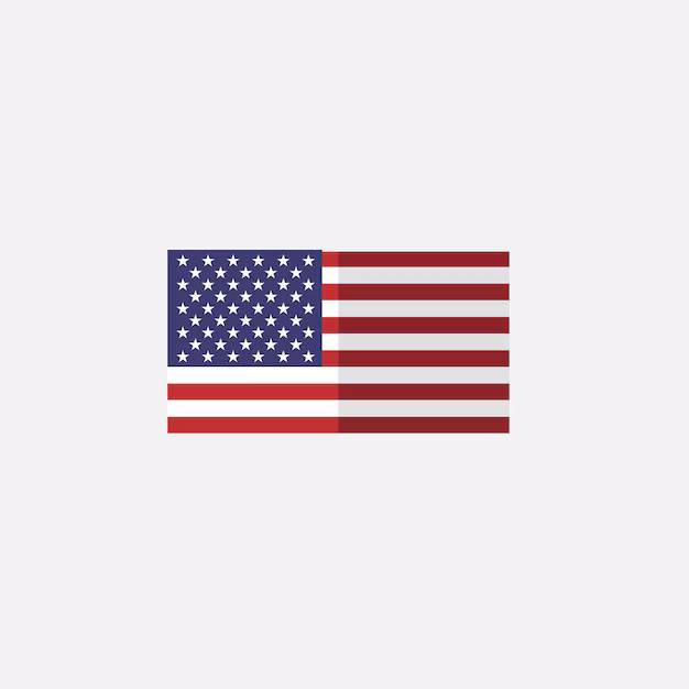 USA Flag
